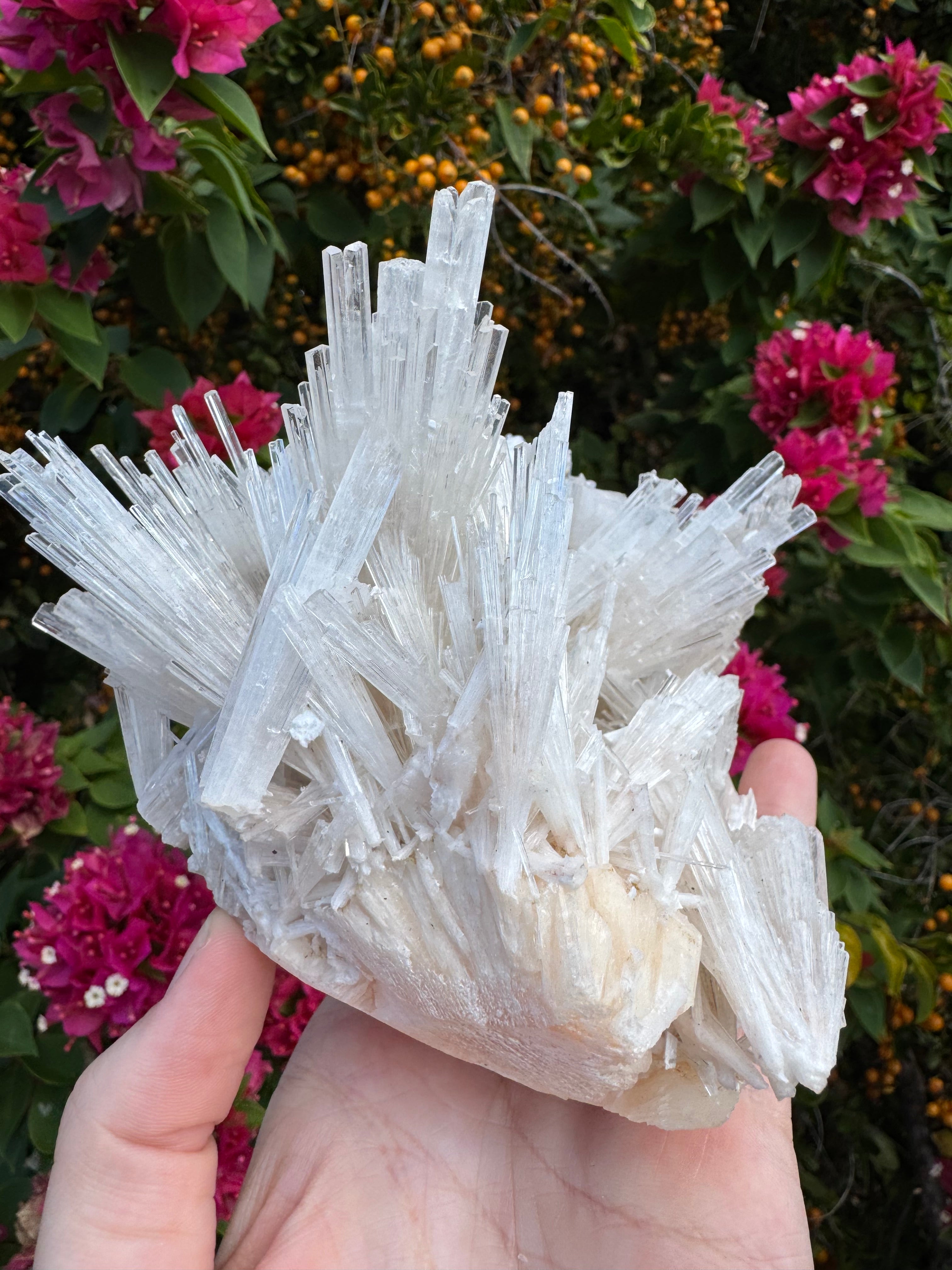 Scolecite Natural Specimen