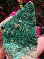 Atacamite Specimen | South Australia