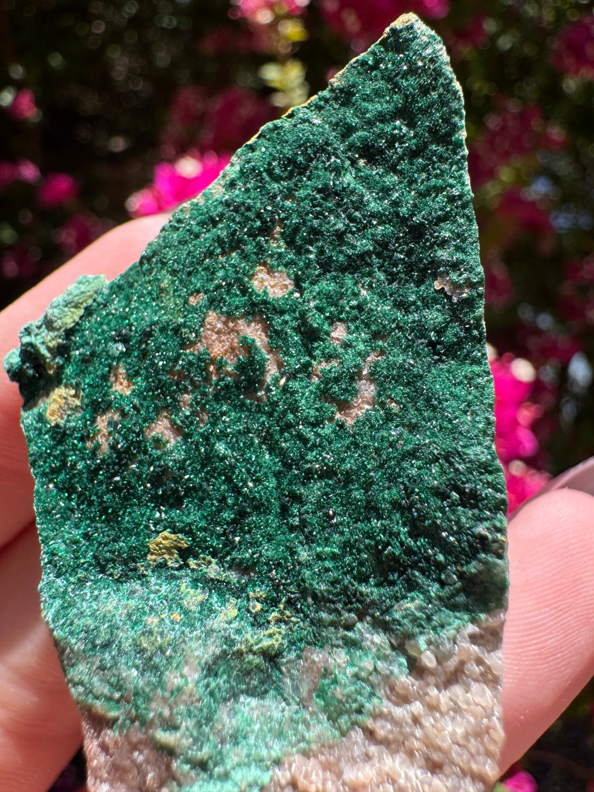 Atacamite Specimen | South Australia