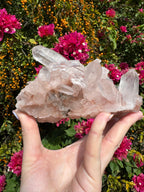 Pink Himalayan Samadhi Quartz Cluster