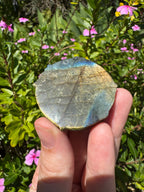 Labradorite Pegasus Carving