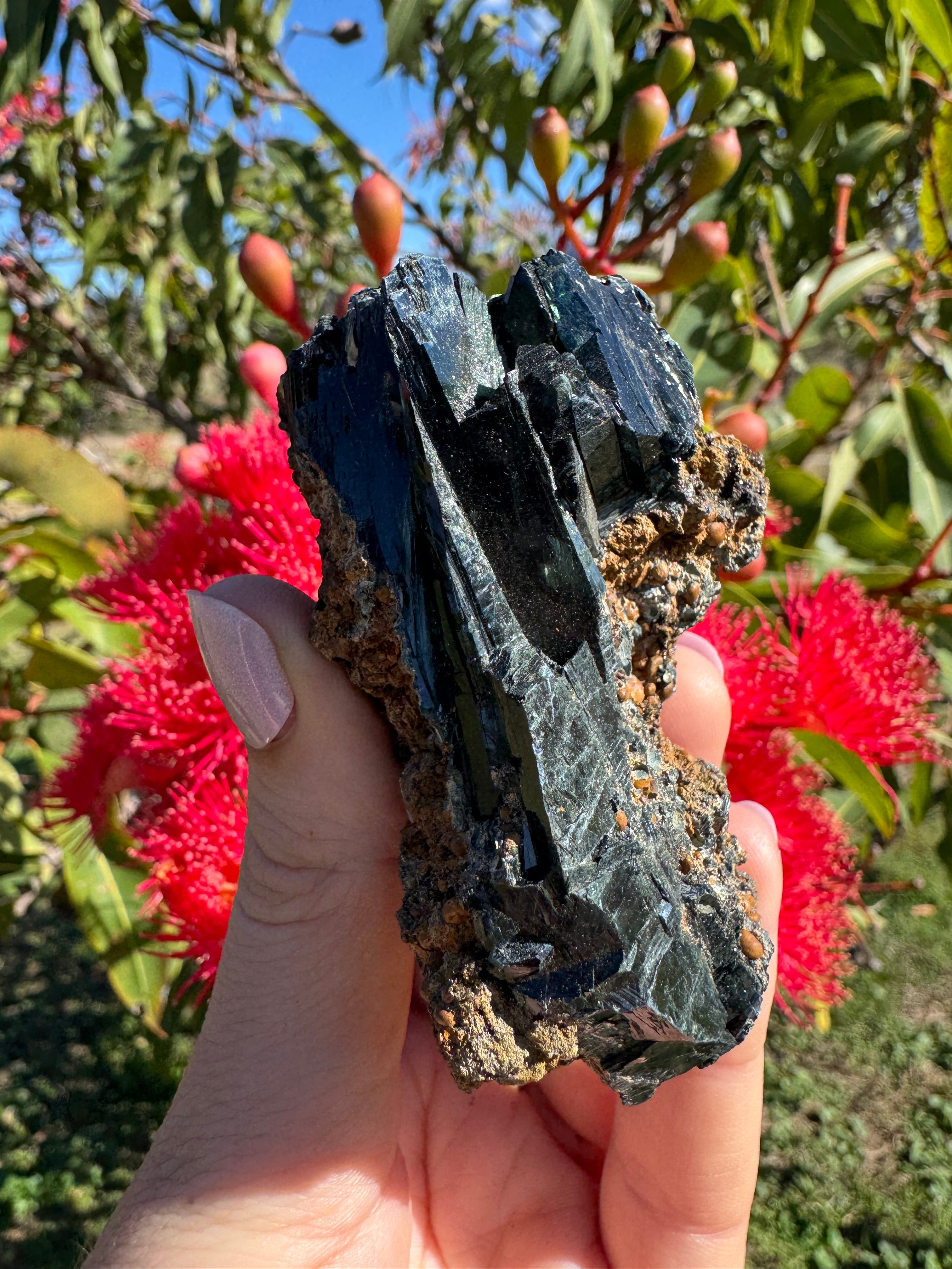 Vivianite on Matrix Specimen