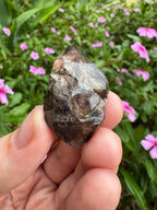 Mooralla Smoky Quartz Cluster