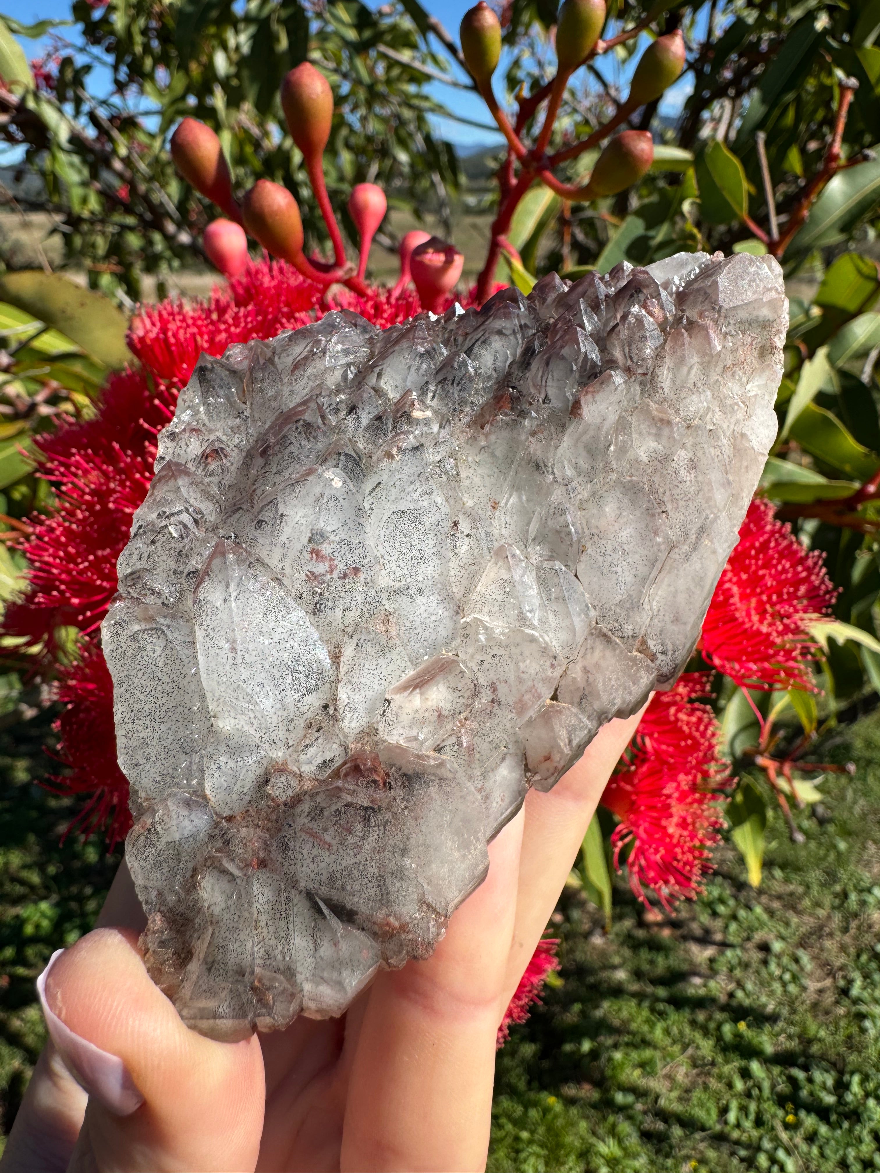 Hematite Coated Smoky Quartz Cluster - Mt Isa