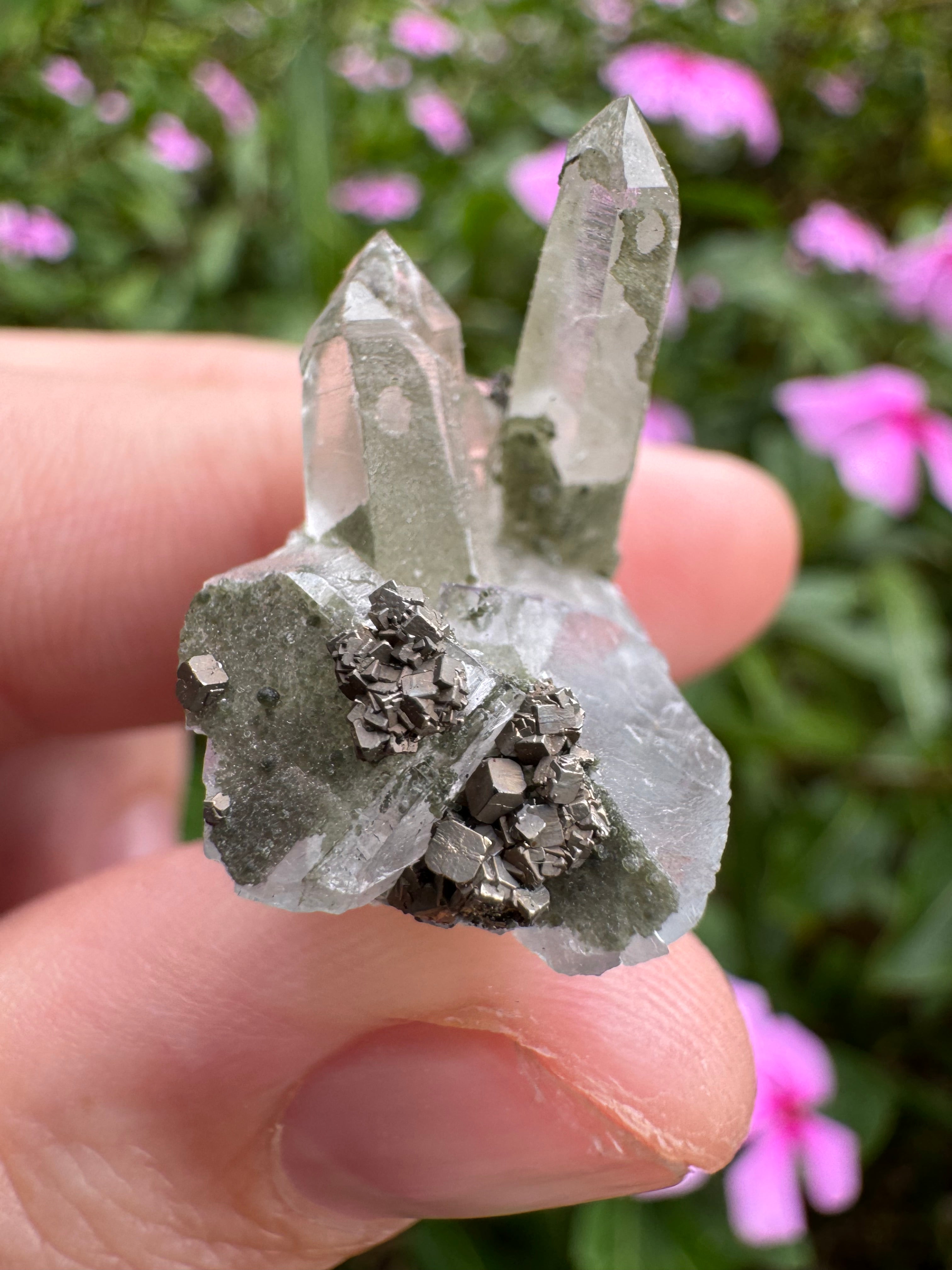 Pyrite on Fluorite Cluster - High Quality