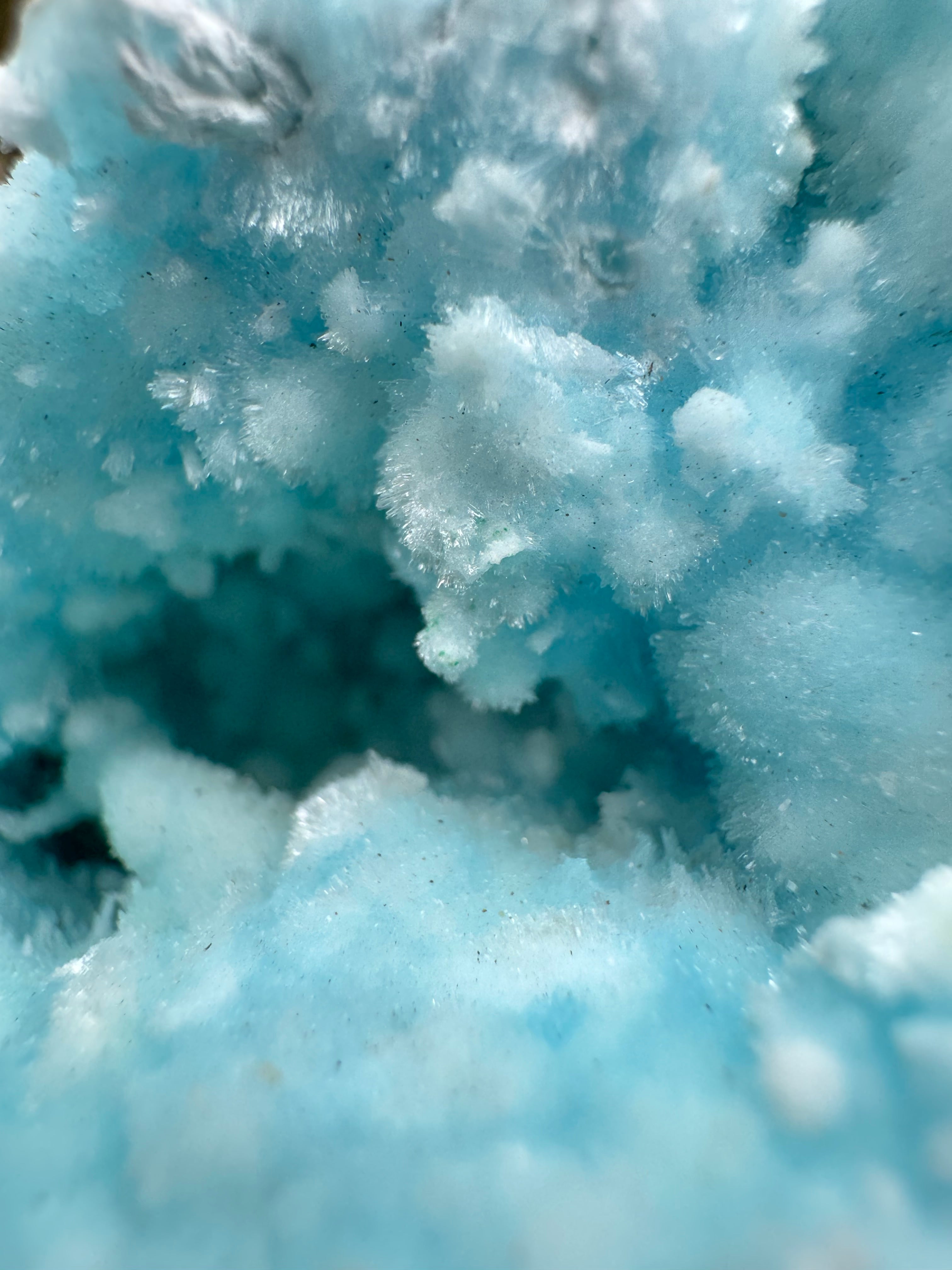 Blue Aragonite Cluster Specimen
