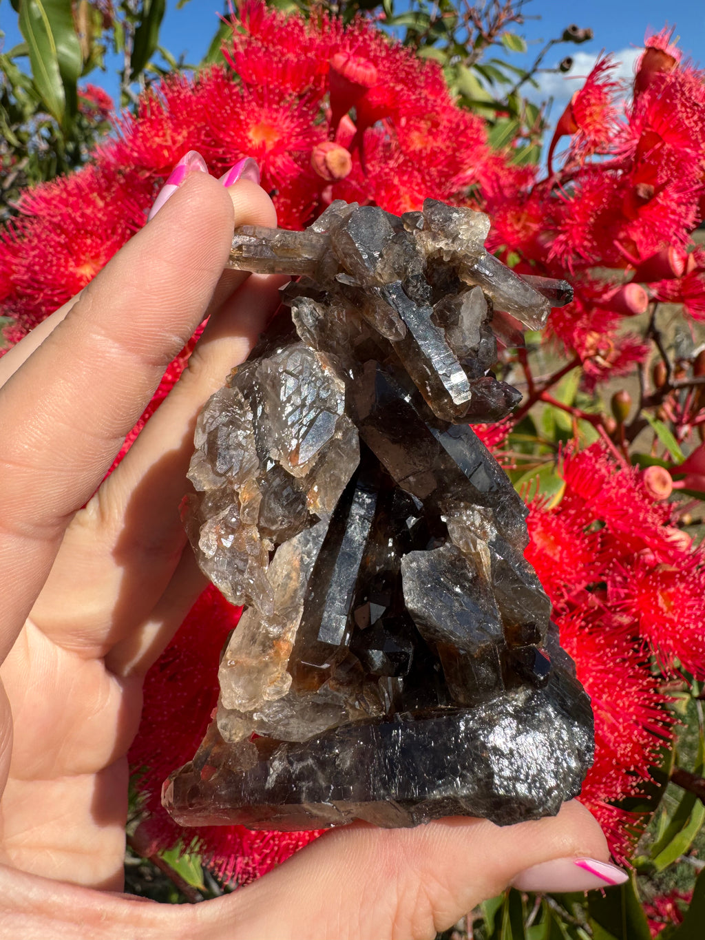 Deep Black Smoky Quartz with Hematite Cluster