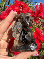 Deep Black Smoky Quartz with Hematite Cluster