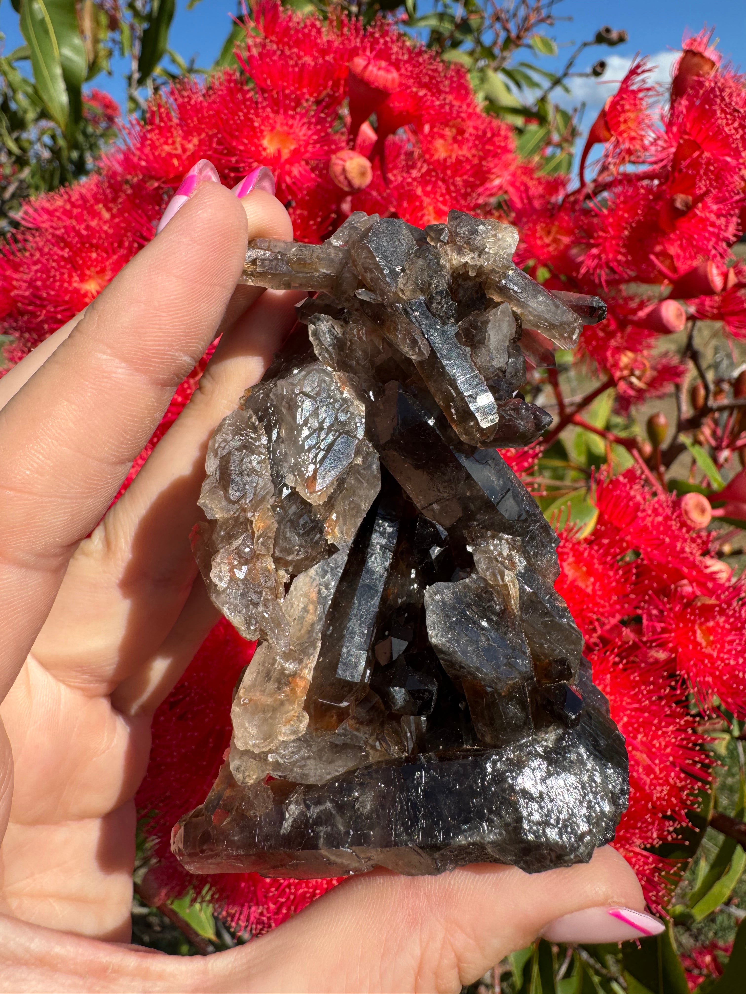 Deep Black Smoky Quartz with Hematite Cluster
