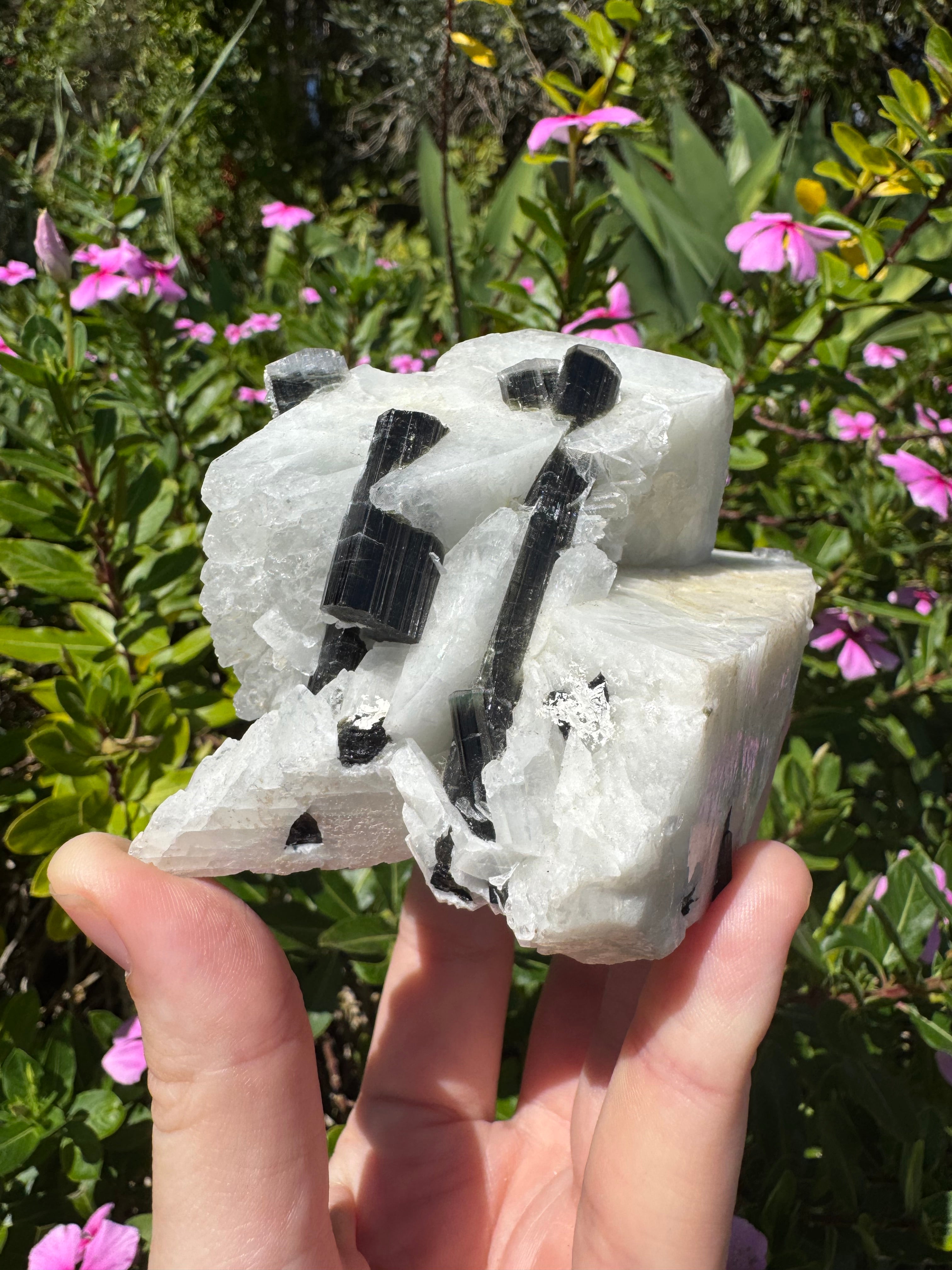 Black Tourmaline in Quartz Specimen
