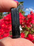 Green Tourmaline and Quartz Specimen - Stak Nala