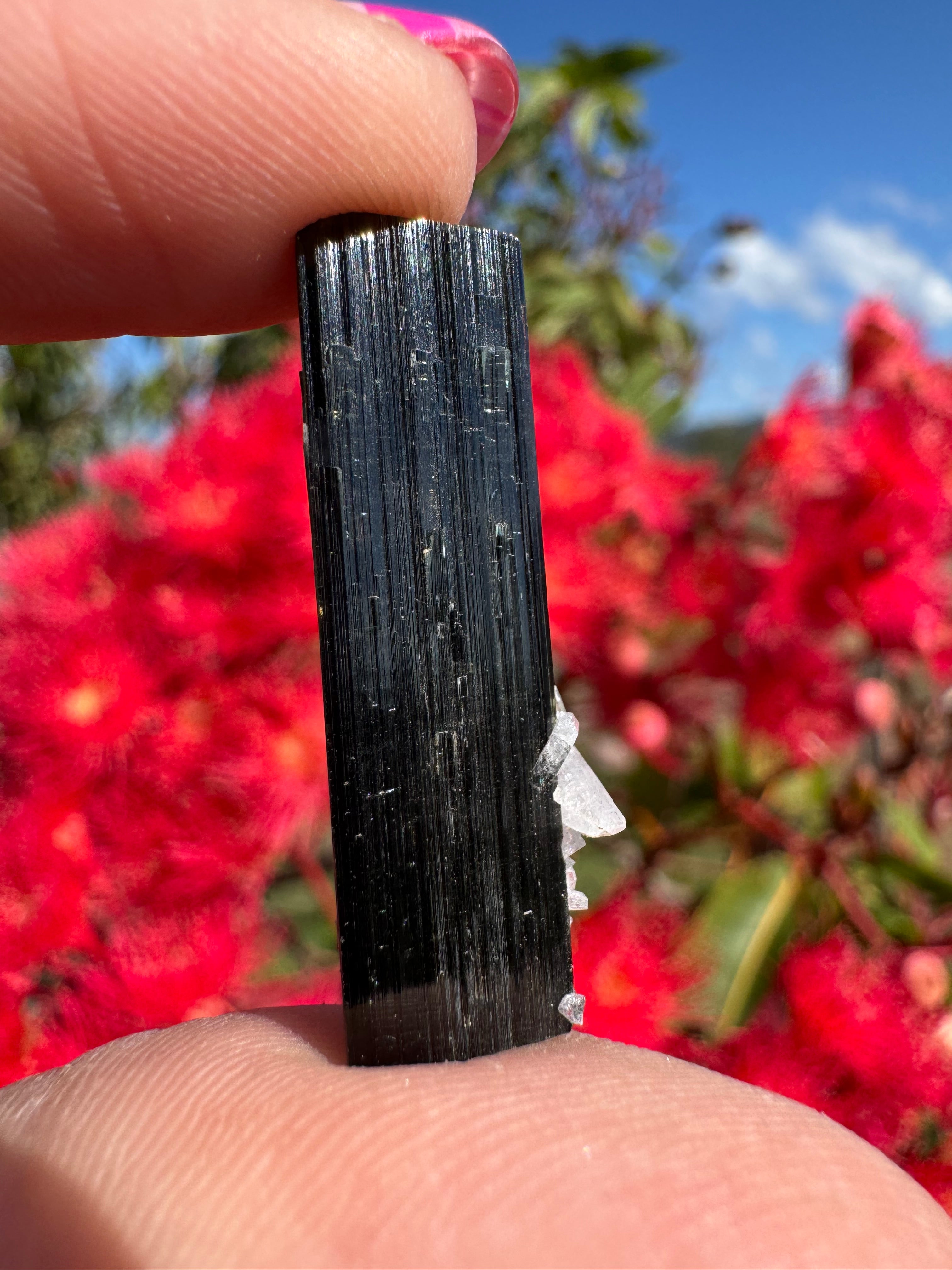 Green Tourmaline and Quartz Specimen - Stak Nala