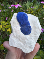 Azurite Sun on Kaolinite Matrix Specimen