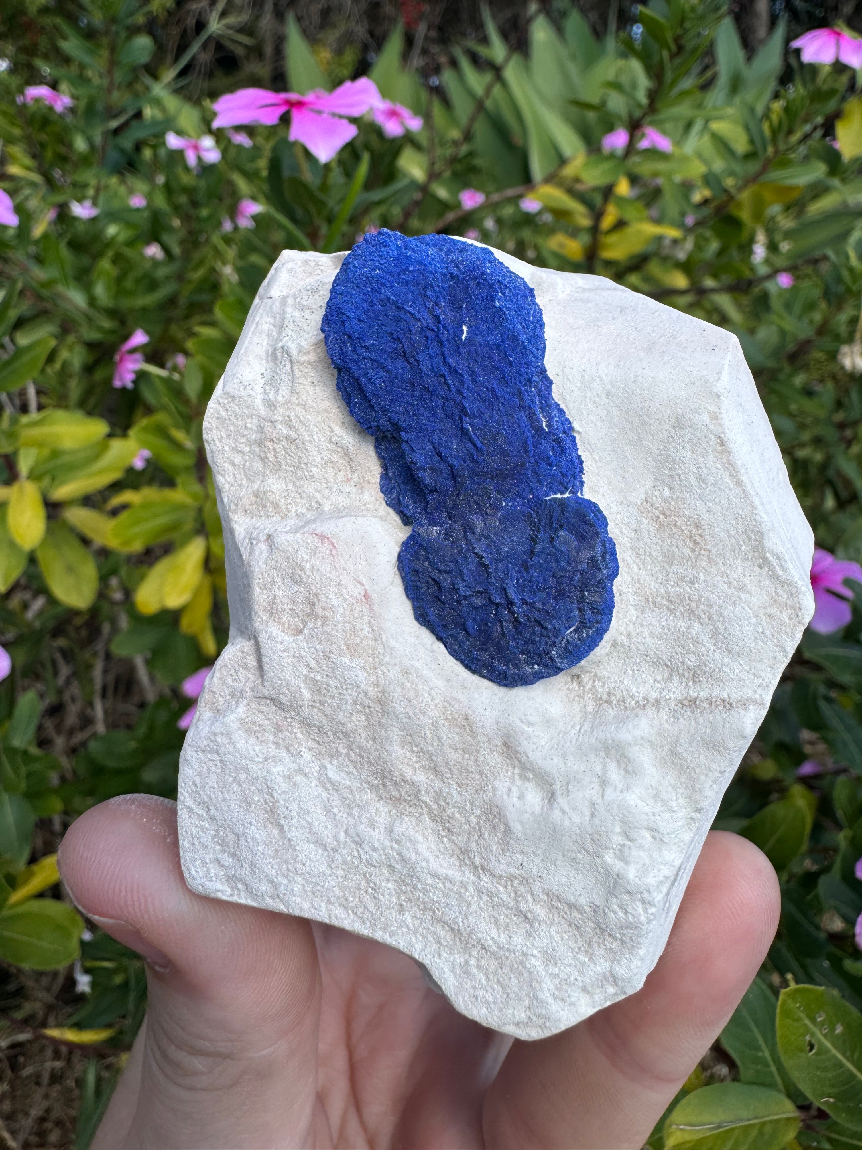 Azurite Sun on Kaolinite Matrix Specimen