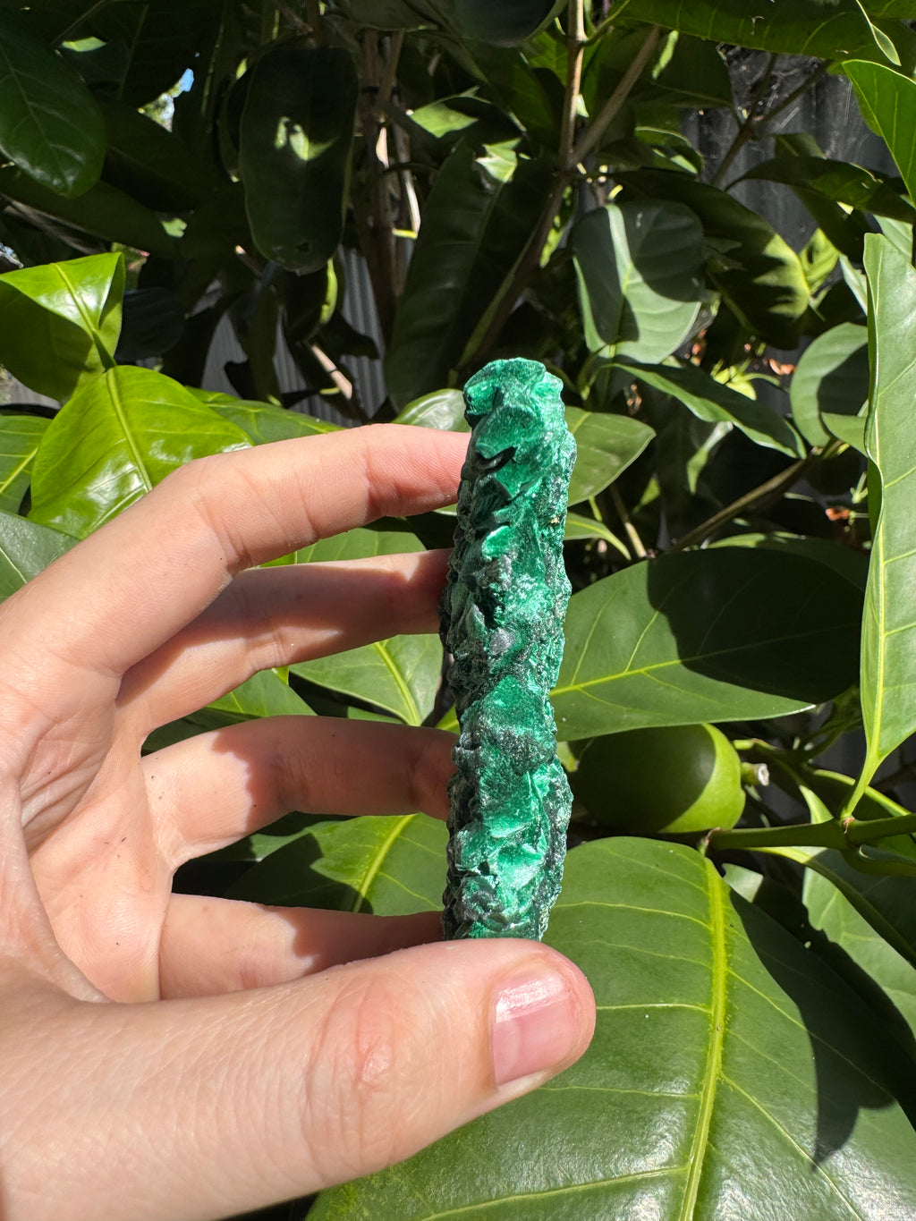 Malachite ‘Fibrous’ Specimen