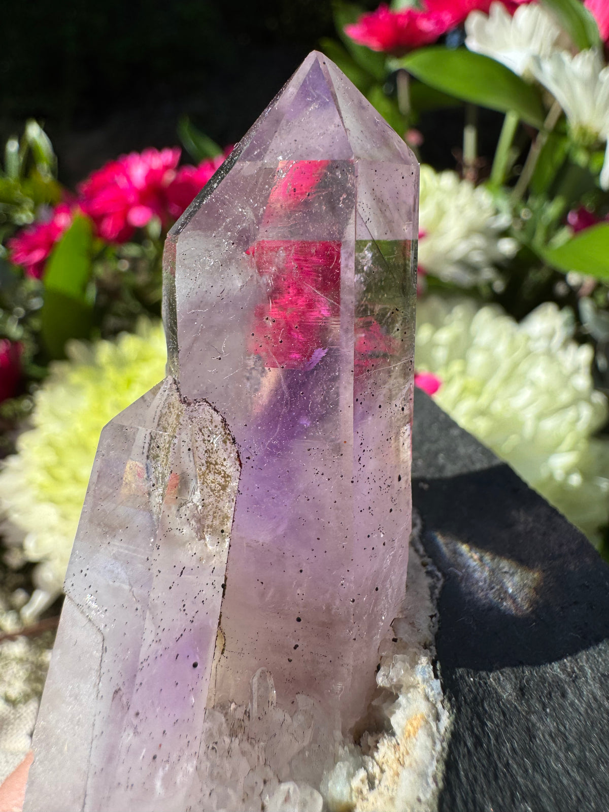 Amethyst Points on Basalt Matrix – Brandberg