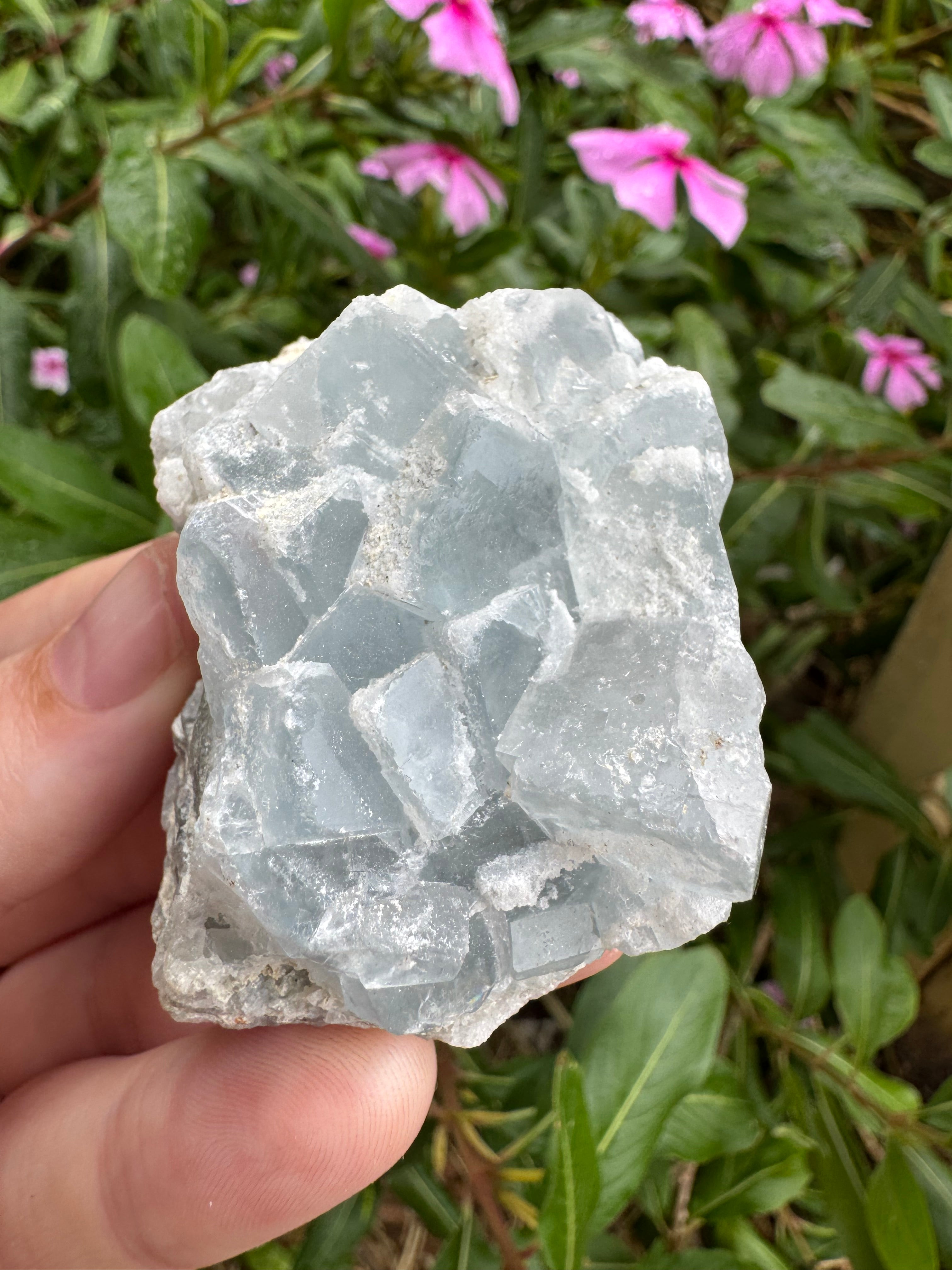 Blue Cubic Fluorite Cluster