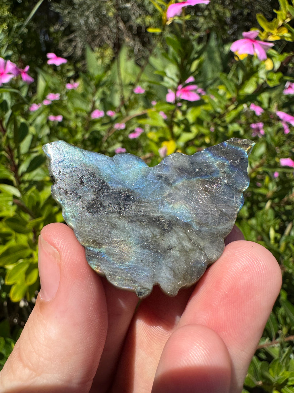 Labradorite Butterfly Carving