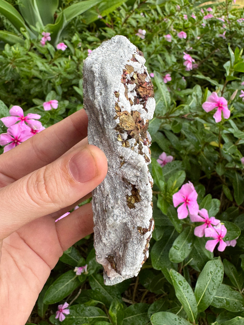 Chalcopyrite + UV Mangano Calcite Specimen