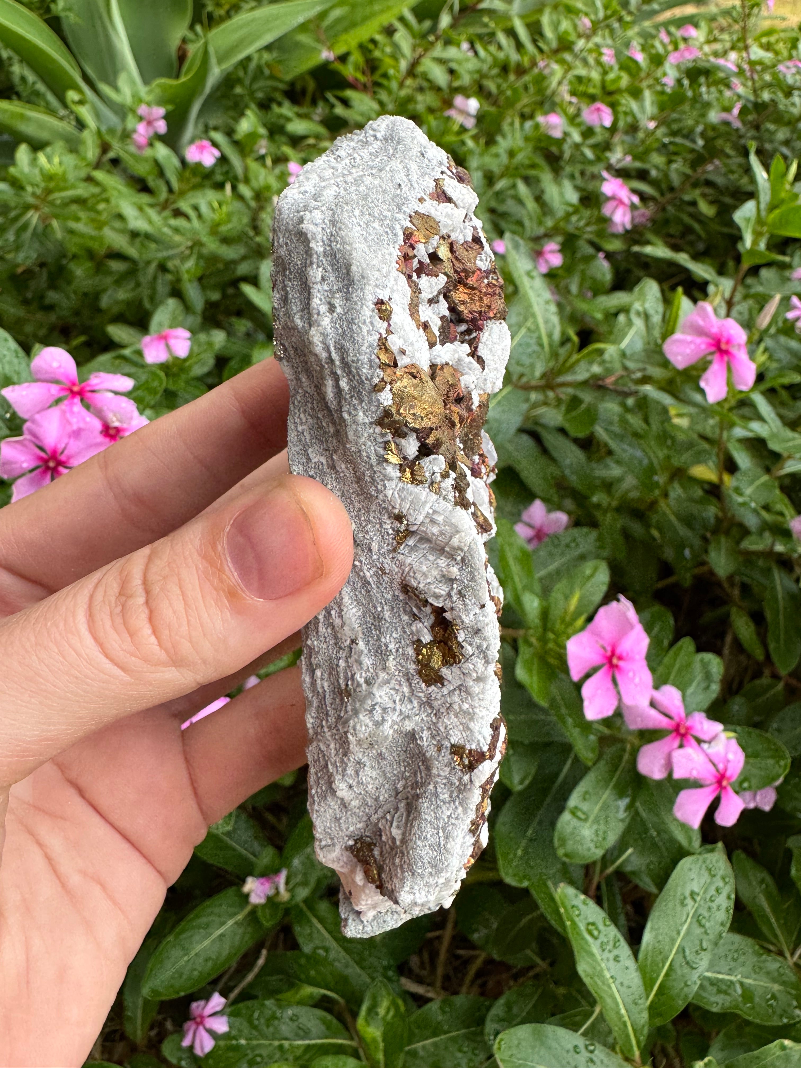 Chalcopyrite + UV Mangano Calcite Specimen