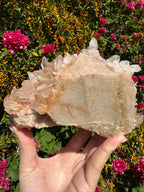 Pink Himalayan Samadhi Quartz Cluster