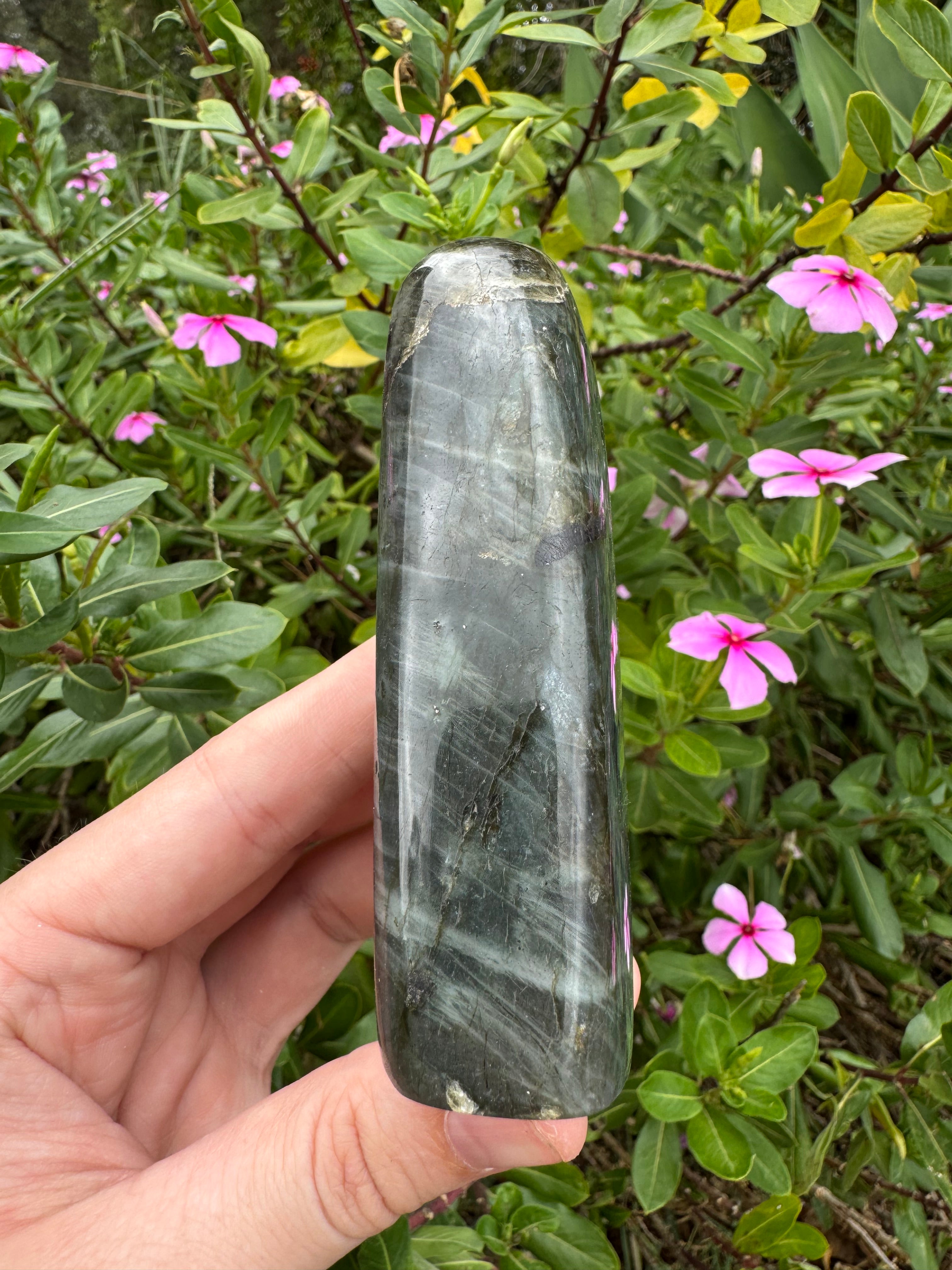 Labradorite Standing Freeform