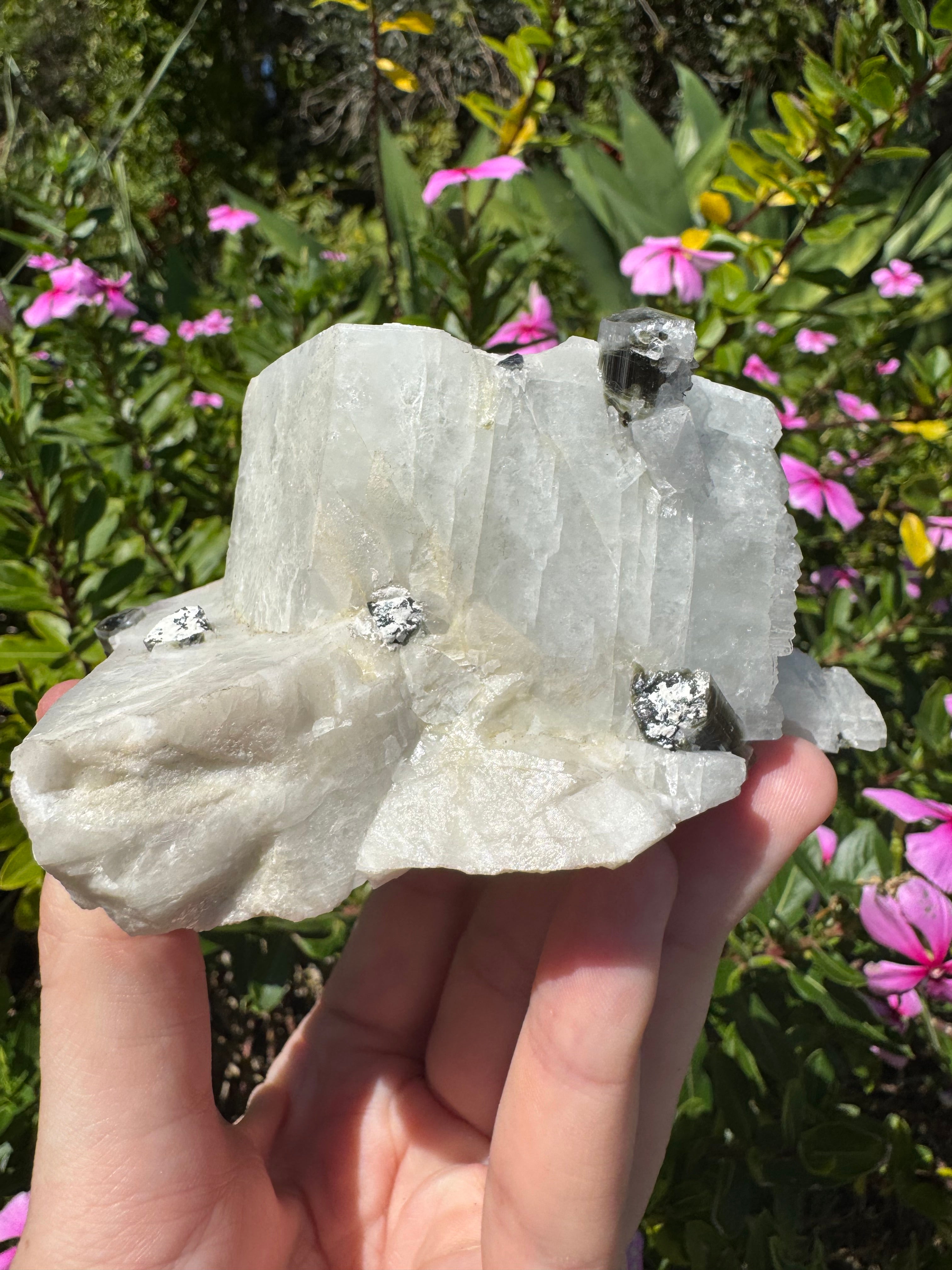 Black Tourmaline in Quartz Specimen