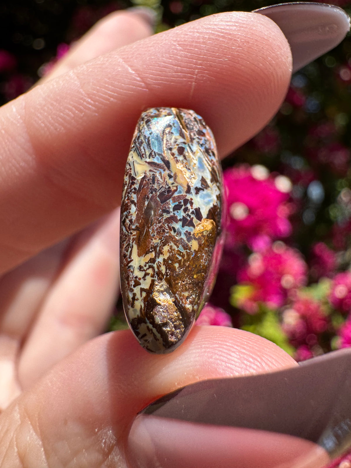 Polished Boulder Opal | Karoit