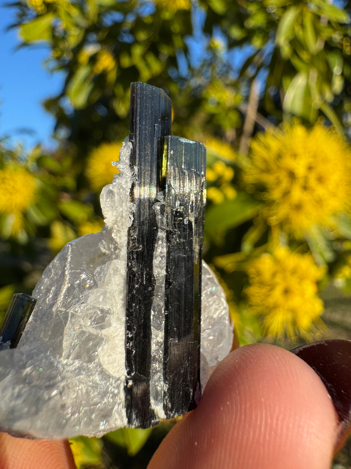 Green Tourmaline Twins In Quartz Specimen | Stak Nala