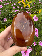 Carnelian Freeform - Natural Carved Inclusion