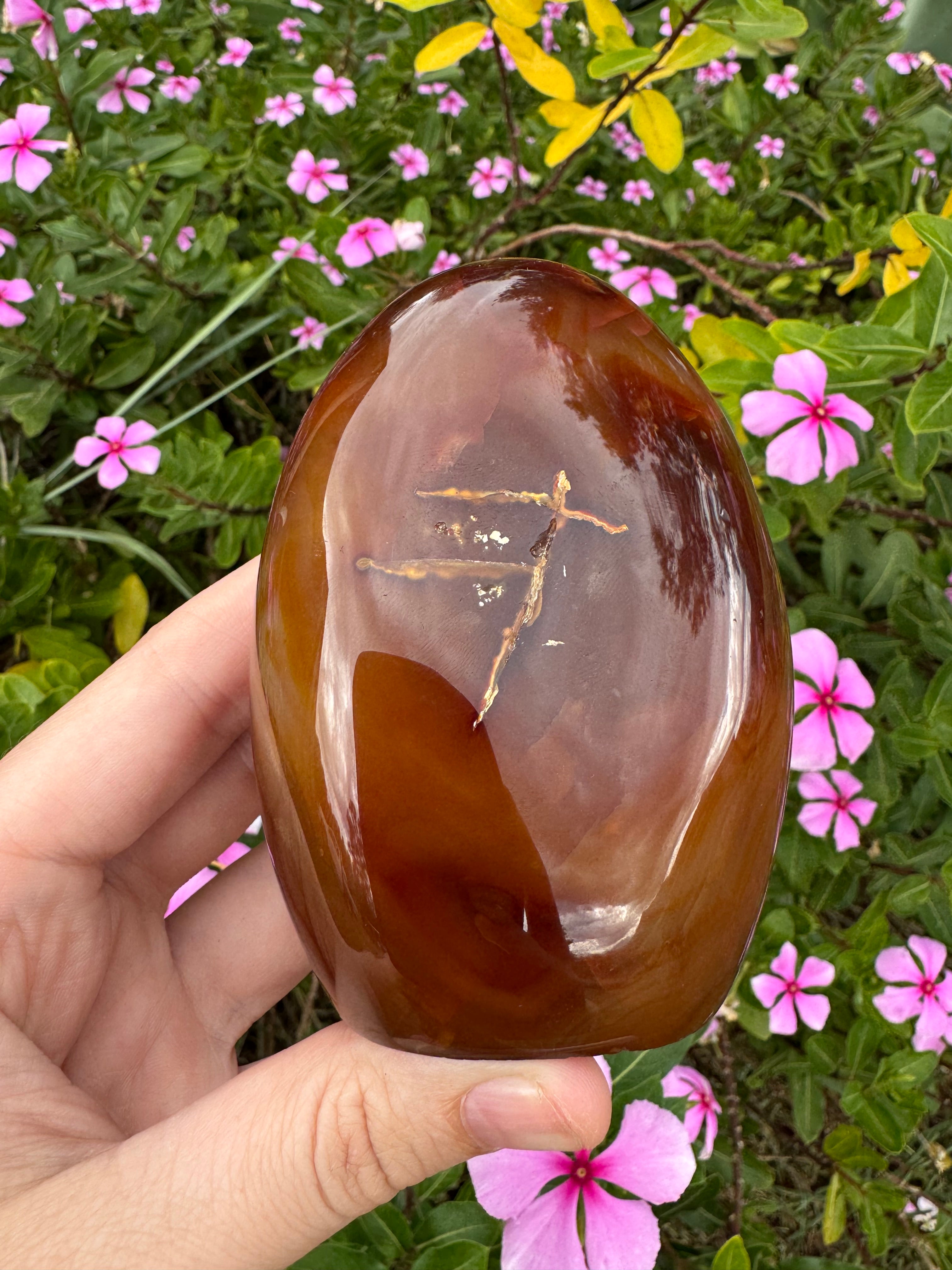 Carnelian Freeform - Natural Carved Inclusion