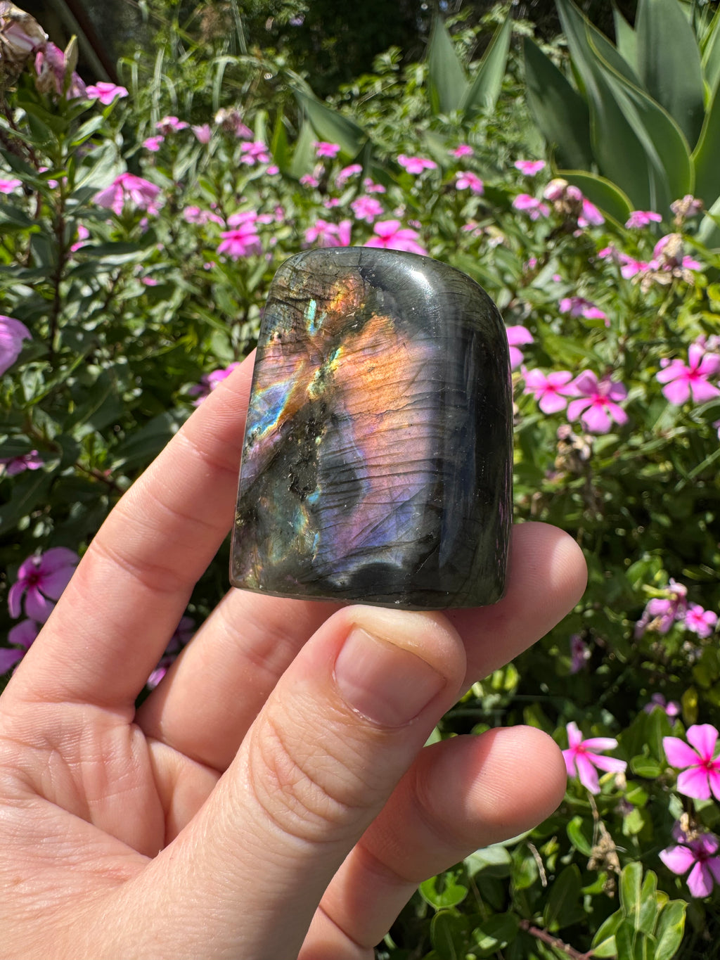 Spectrolite Labradorite Freeform