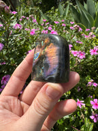 Spectrolite Labradorite Freeform