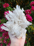 Scolecite Natural Specimen