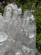 Clear Quartz Cluster - A+/AA Grade