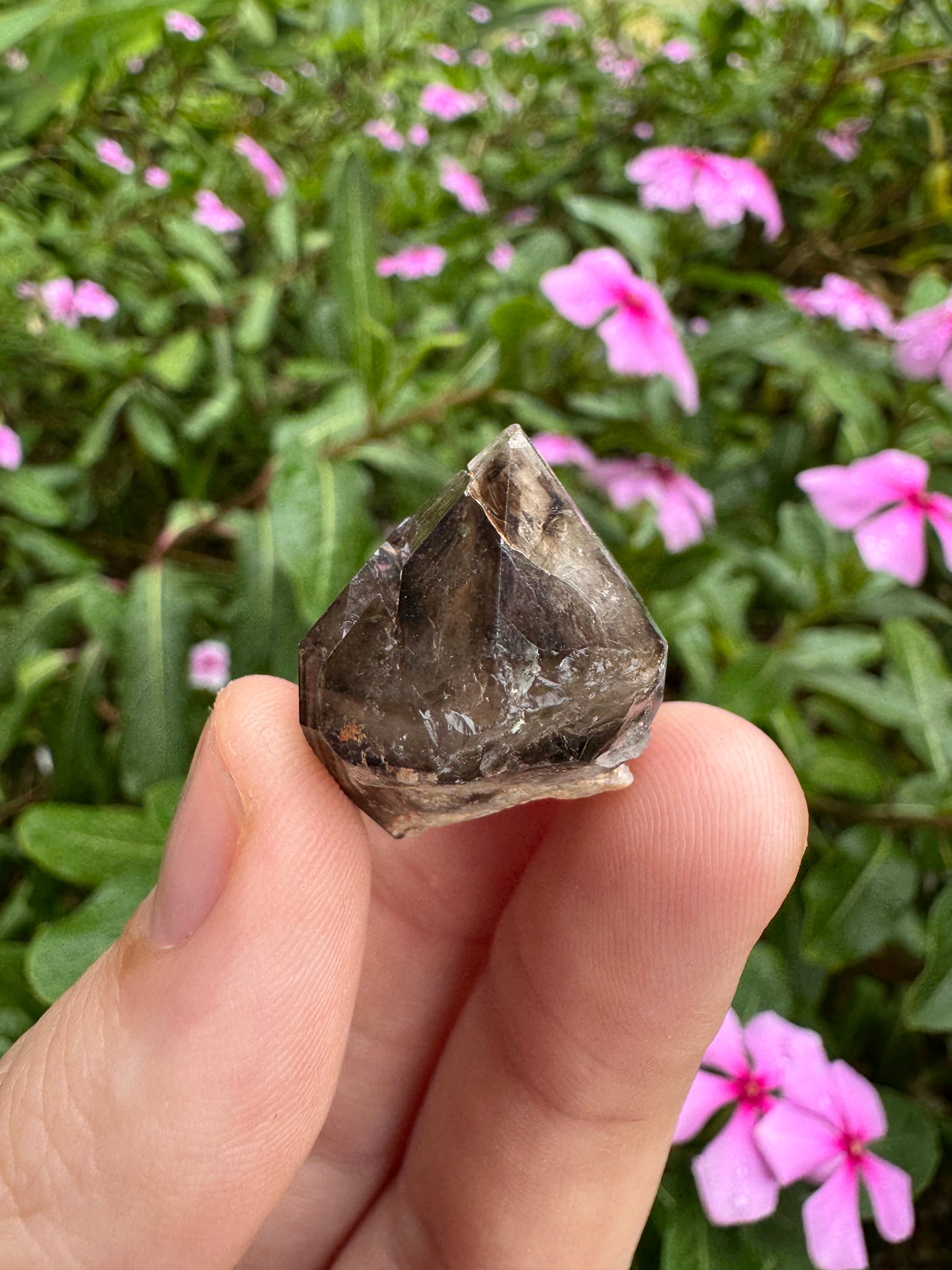 Mooralla Smoky Quartz Cluster