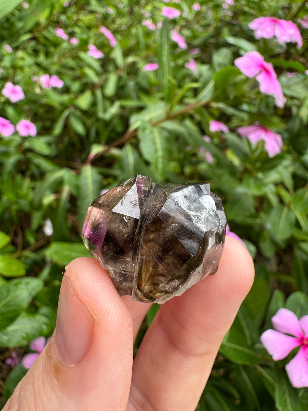 Mooralla Smoky Quartz Cluster