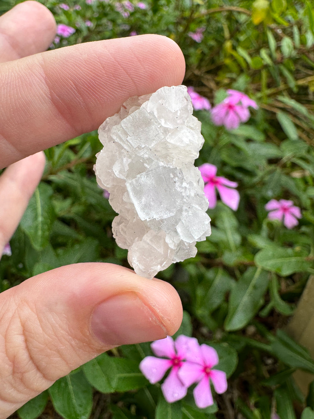 Blue Cubic Fluorite Specimen - High Quality