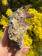 Vera Cruz Amethyst ‘Flower’ Specimen