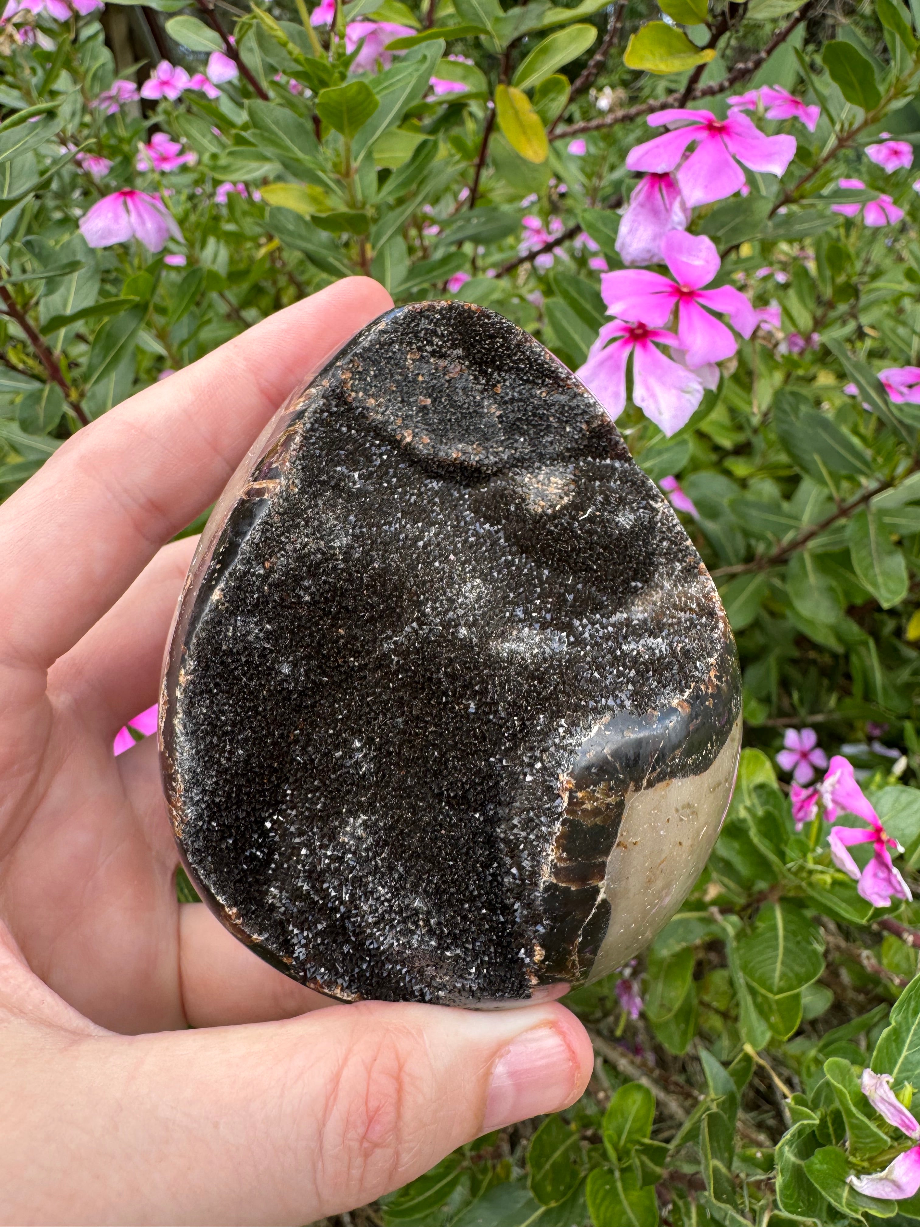 Septarian Druzy Egg with Calcite Inclusions