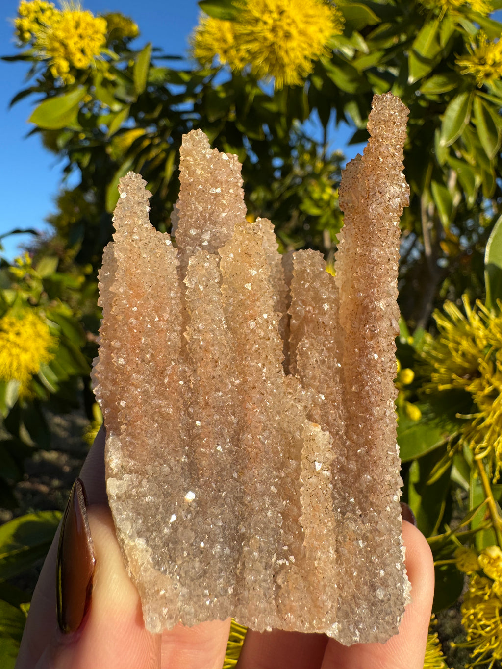 Spécimen de stalactites d'améthyste avec inclusions d'hématite