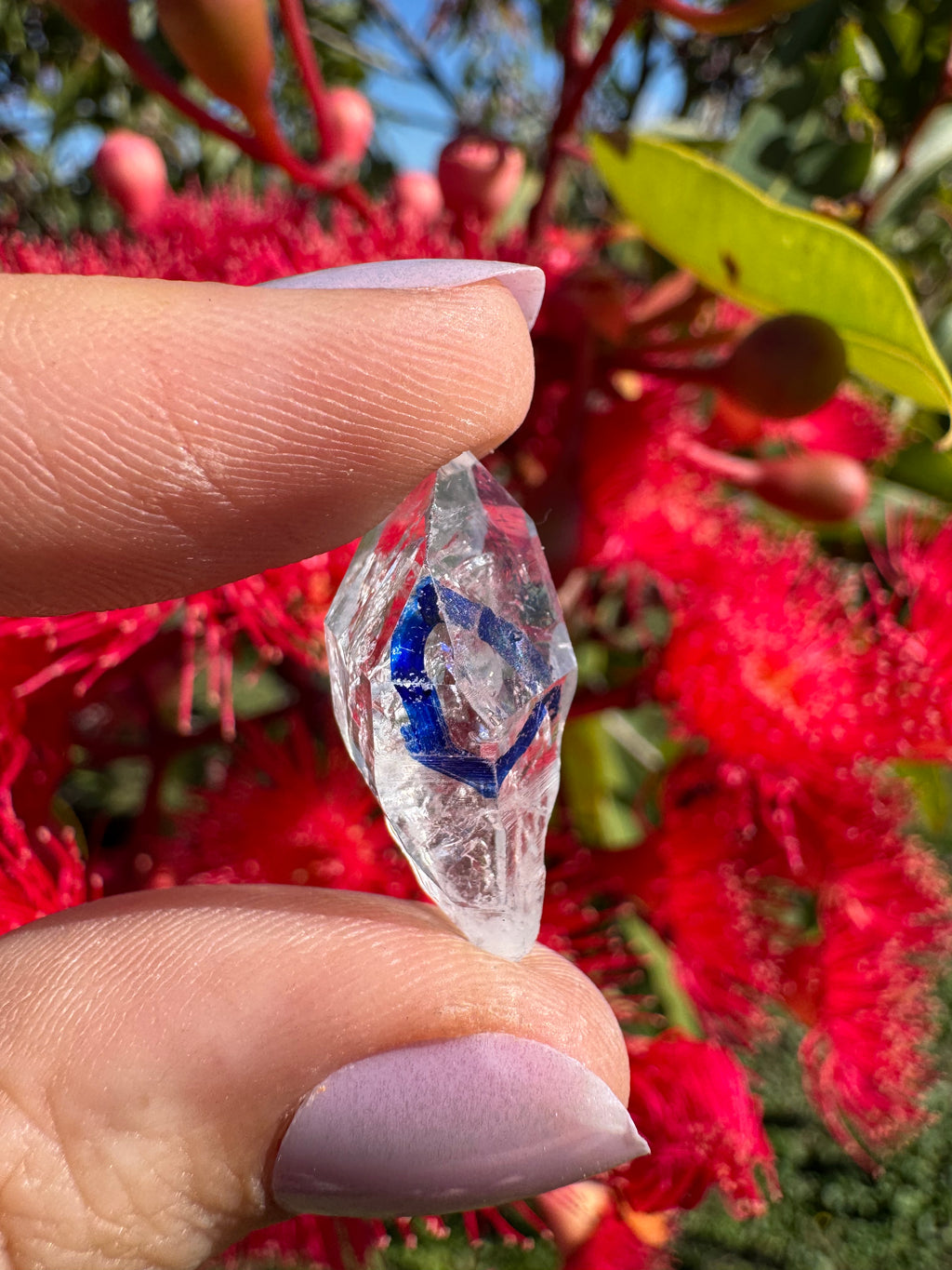 Herkimer Diamond Natural Specimen - Enhydro