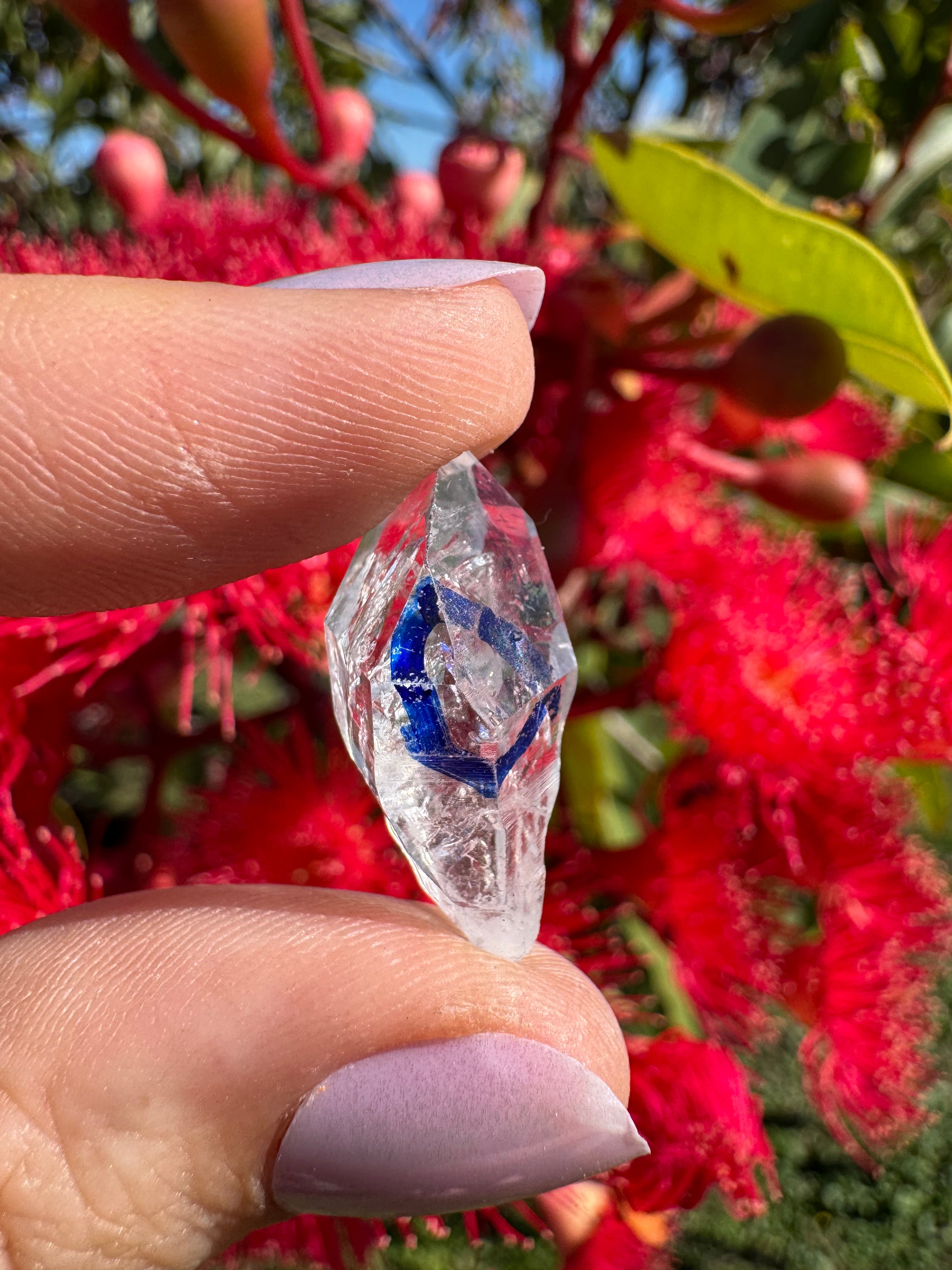 Herkimer Diamond Natural Specimen - Enhydro