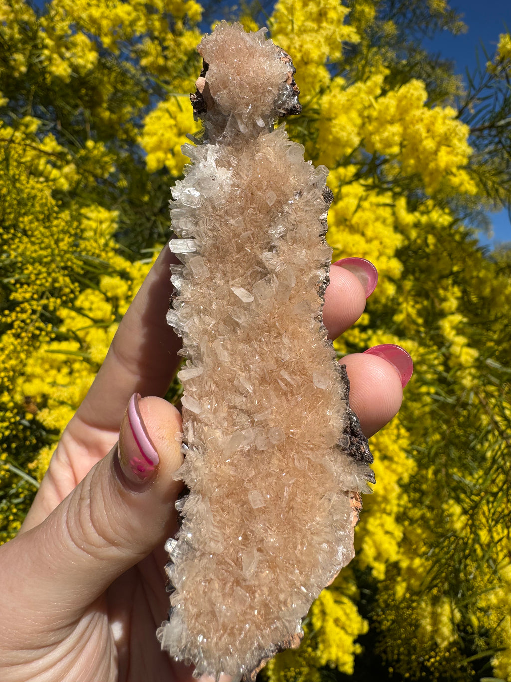 Clear Hemimorphite Cluster - Durango Mexico