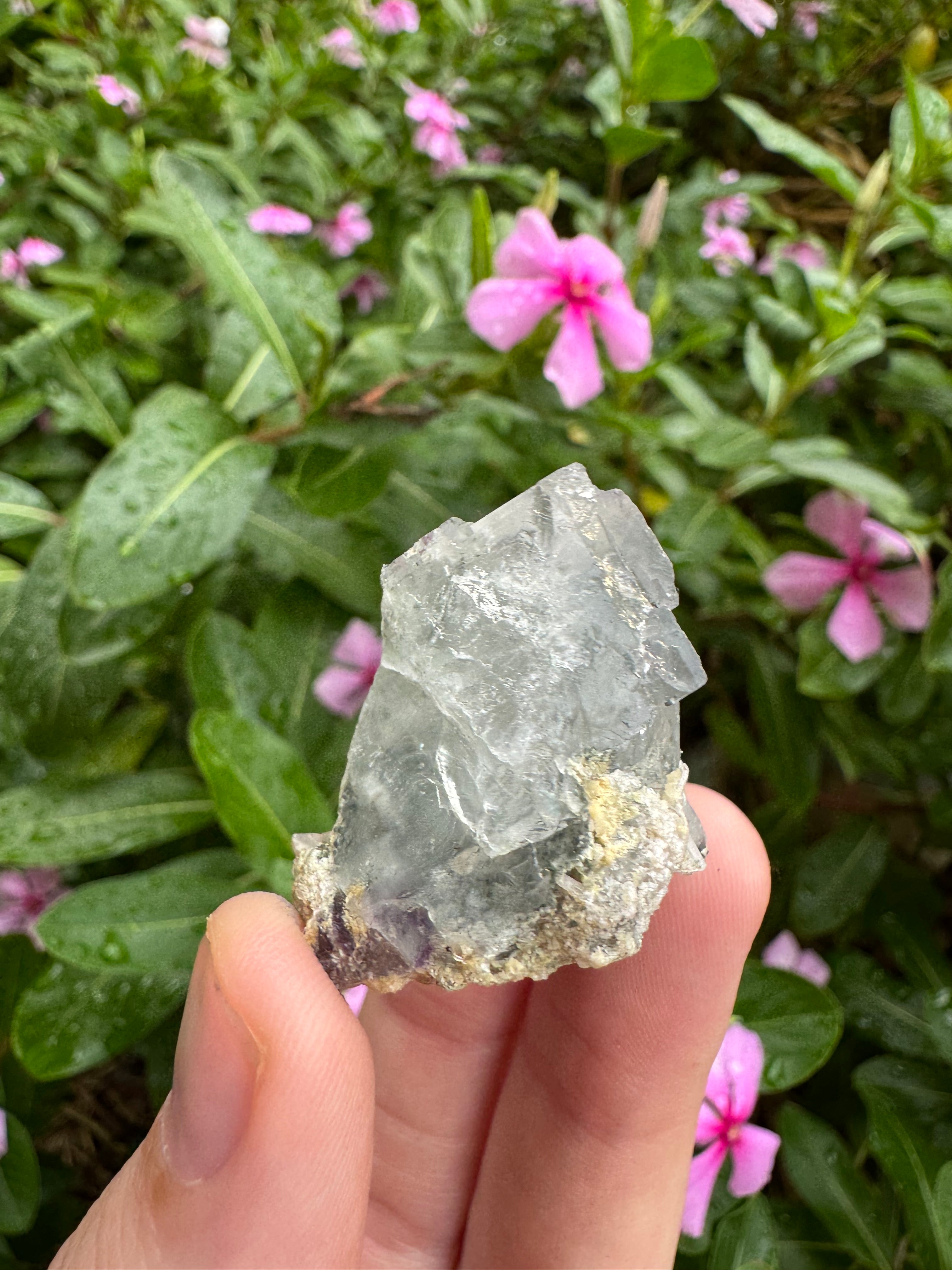 Blue Cubic Fluorite Cluster