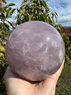 Lavender Rose Quartz Asterism Sphere - Statement 2.9kg