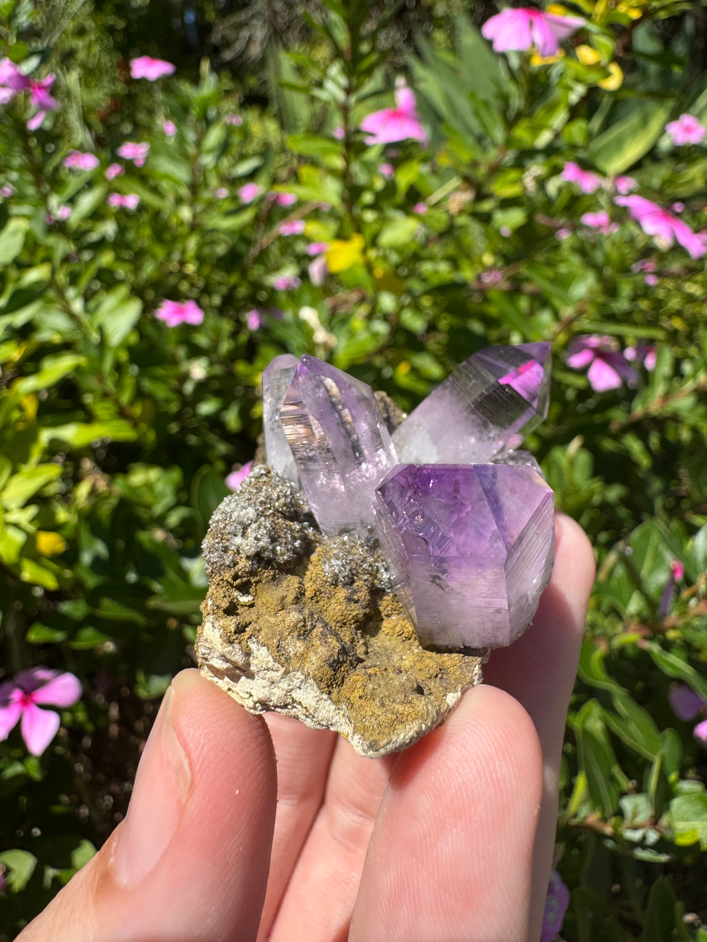Vera Cruz Amethyst Specimen