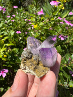 Vera Cruz Amethyst Specimen