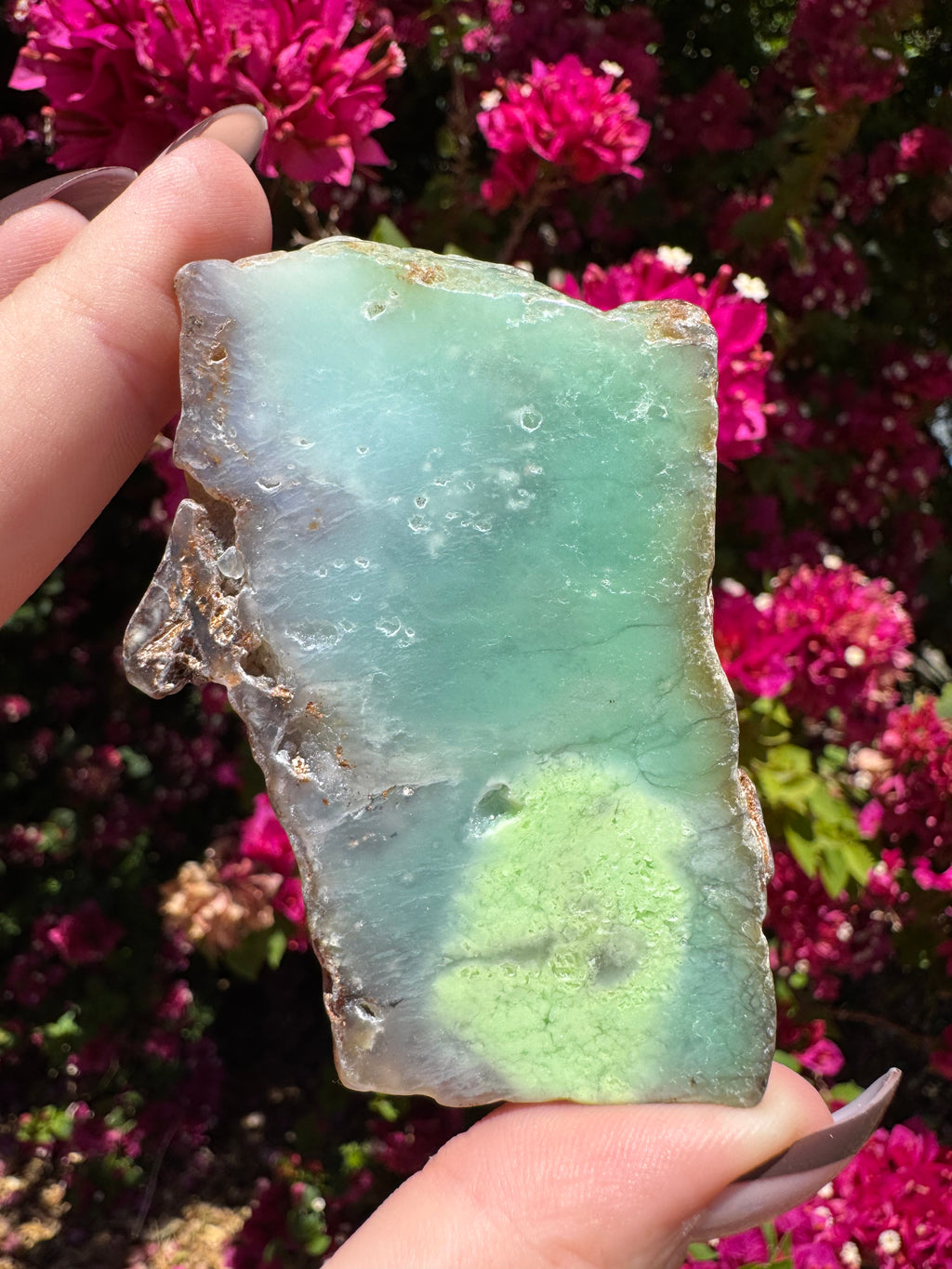 Green Chrysoprase Slice | Yerilla