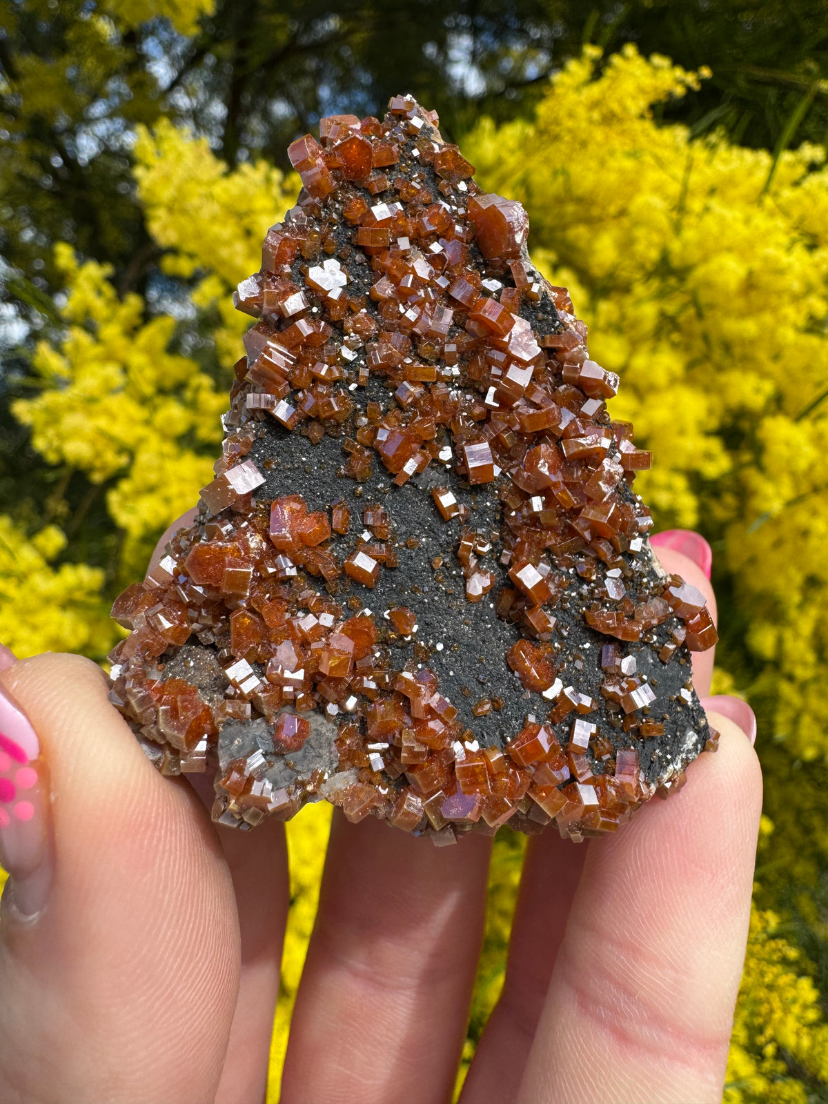 Vanadinite and Black Barite Specimen